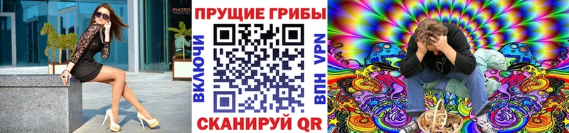 нарко площадка телеграм  как найти закладки  Кирс  Псилоцибиновые грибы GOLDEN TEACHER 