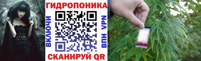 Каннабис планчик  цена   kraken онион  Кирс 